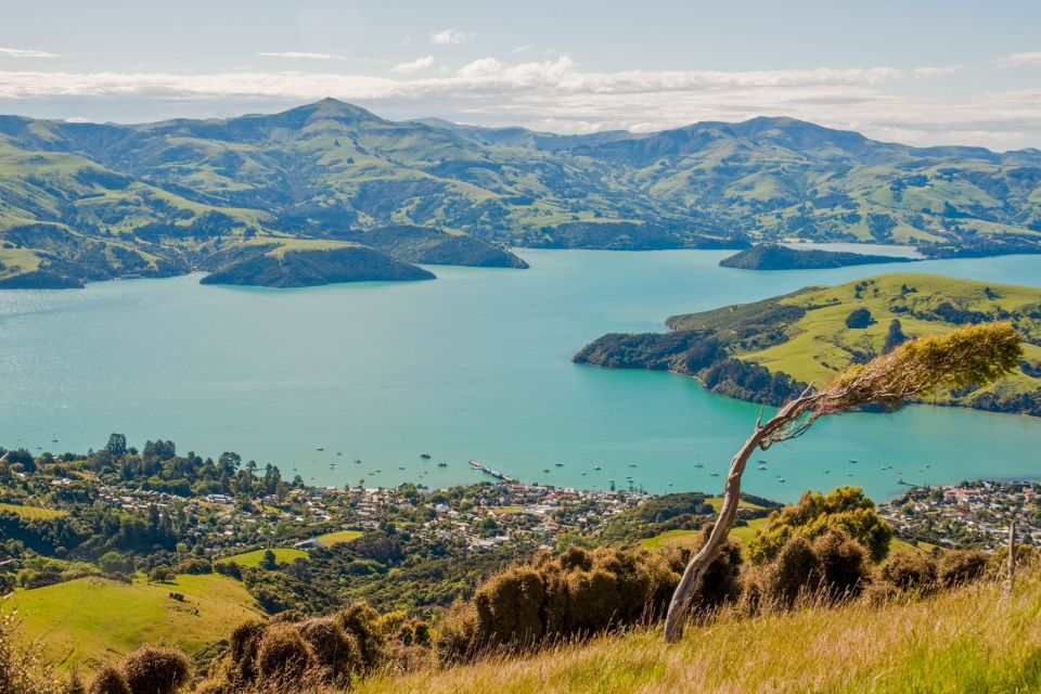 Akaroa Self-Guided Audio Tour - Highlights
