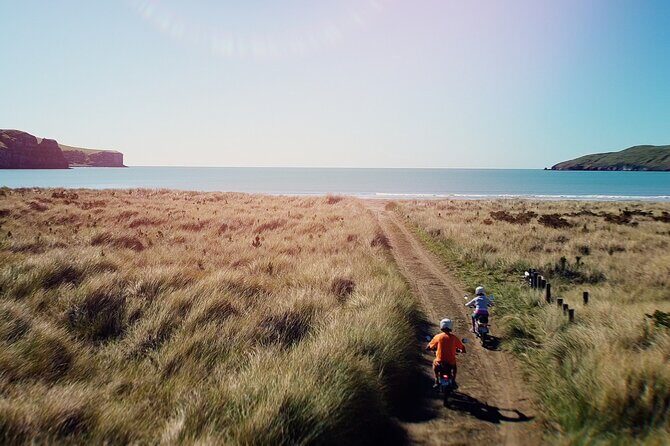Akaroa Self Guided Electric Scooter Tour - The Experience in Detail