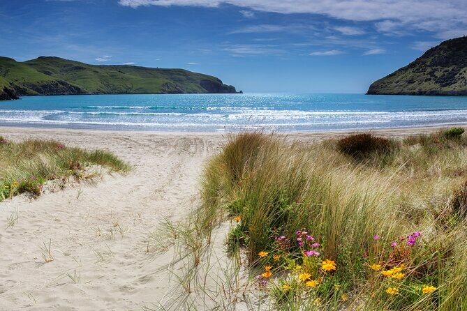 Akaroa Self Guided Electric Scooter Tour - The Sum Up