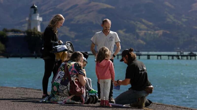 Akaroa: Solar System Walking Tour with Solar Telescope - Key Points