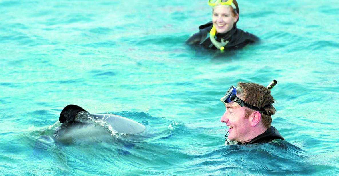Akaroa: Swimming With Wild Dolphins 3-Hour Experience - Customer Reviews