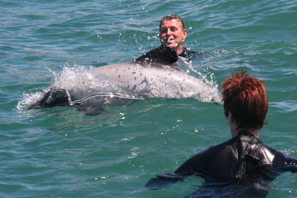 Akaroa: Swimming With Wild Dolphins 3-Hour Experience - Tour Operator Information