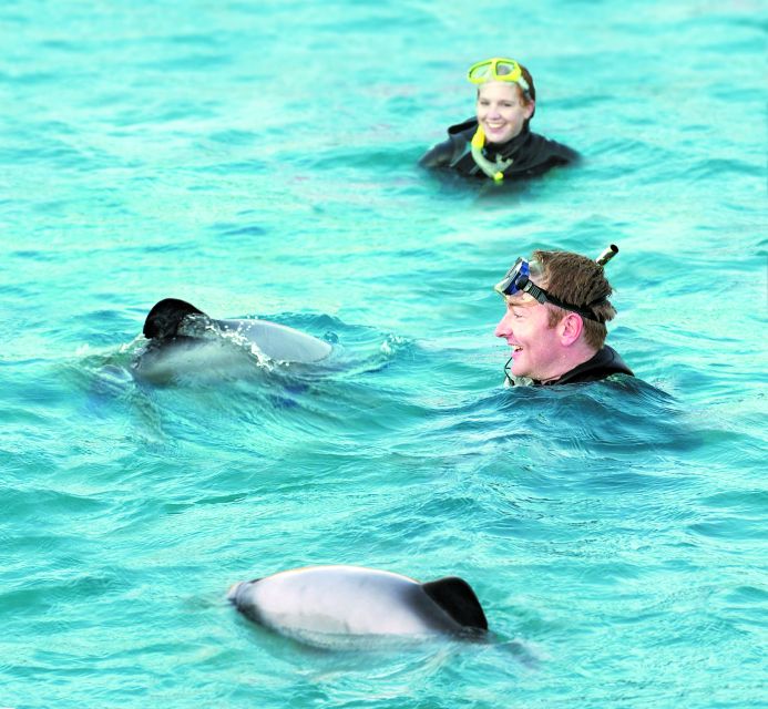 Akaroa: Swimming With Wild Dolphins 3-Hour Experience - Booking and Logistics