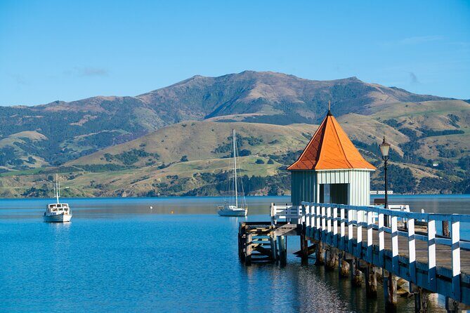 Akaroa with optional dolphin cruise (Small Group Tour) - Scenic and Active Stops: Nature and Walks  