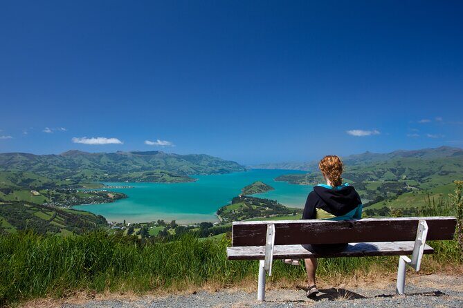Akaroa with optional dolphin cruise (Small Group Tour) - The Practicalities: What You Need to Know  