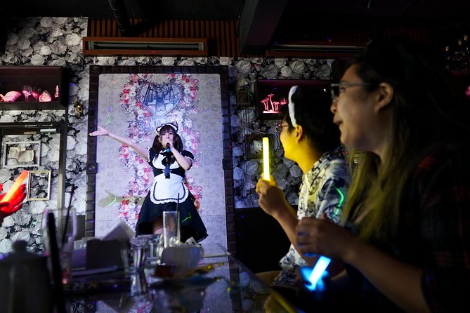 Akihabara Anime & Gaming Adventure Walking Tour - Highlights of the Experience