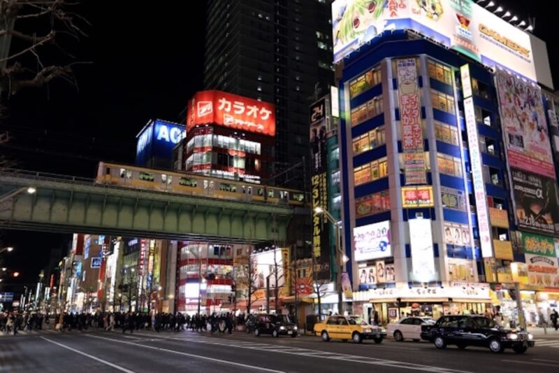 Akihabara: Go-Kart Experience With Local Guide - Safety Guidelines