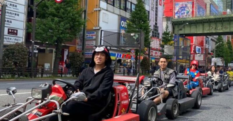 Akihabara: Go-Kart Experience With Local Guide - Required Documentation