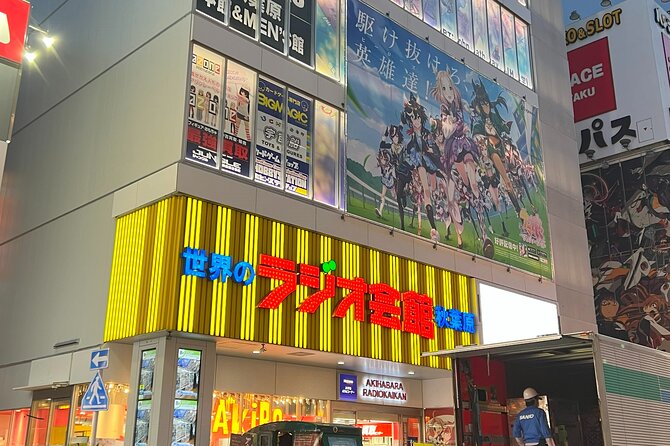 Akihabara Half Day Walking Tour With Otaku Licensed Guide - Accessibility and Fitness Level