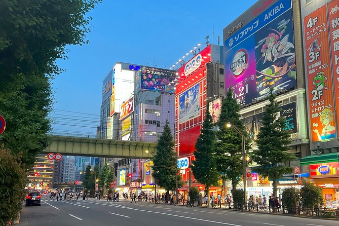 Akihabara Half Day Walking Tour With Otaku Licensed Guide - Cancellation Policy
