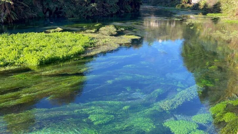 AKL: TE PUIA w buffet, Poly'sian Spa & Blue Springs Day Tour - The Journey Begins: From Auckland to Rotorua