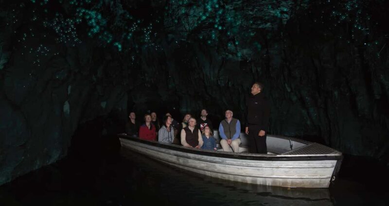 AKL: WAITOMO Glowworm, KIWI Bird, LUNCH & Hamilton Gardens - Who Will Love This Tour?