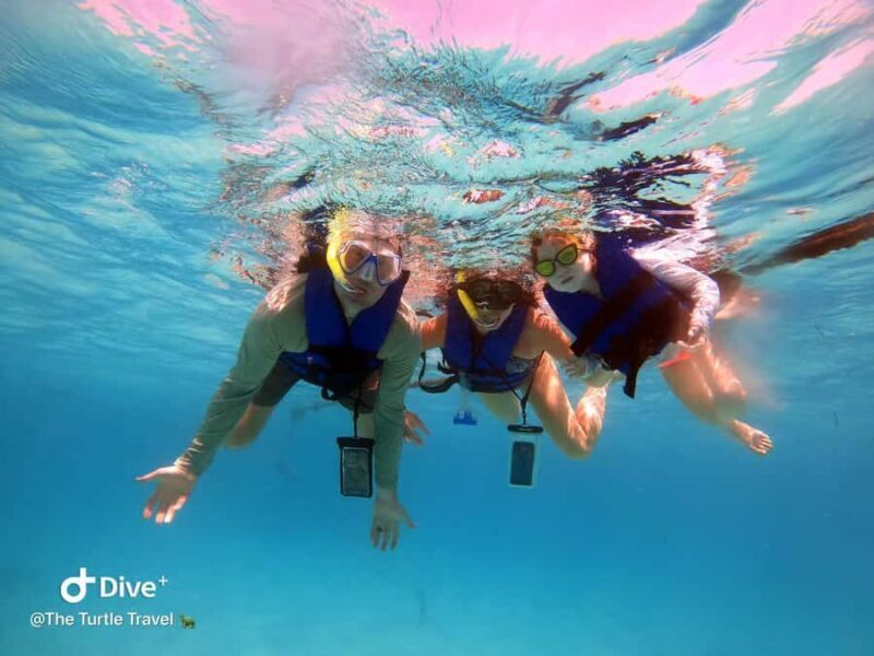 Akumal Beach: Ecologic Turtle Snorkeling Tour & Gopro Photos - Introduction: What’s the Tour All About?