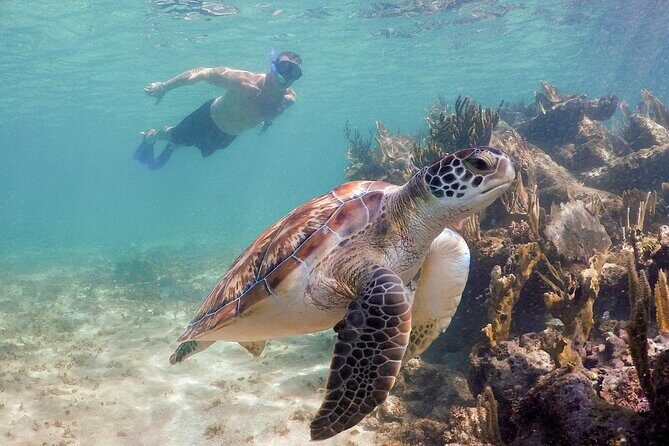 Akumal Cenote Swimming and Snorkeling from Cancun & Costa Mujeres - FAQ