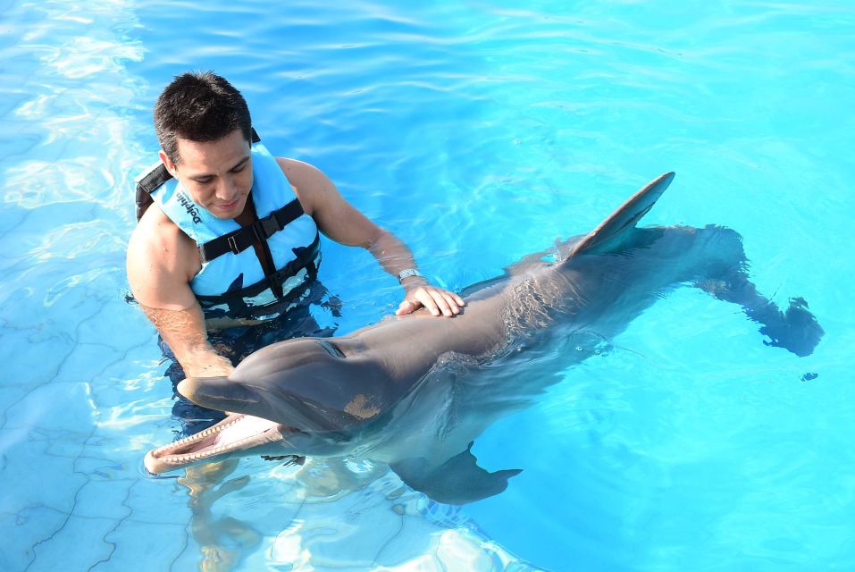 Akumal: Dolphin Encounter - Key Points