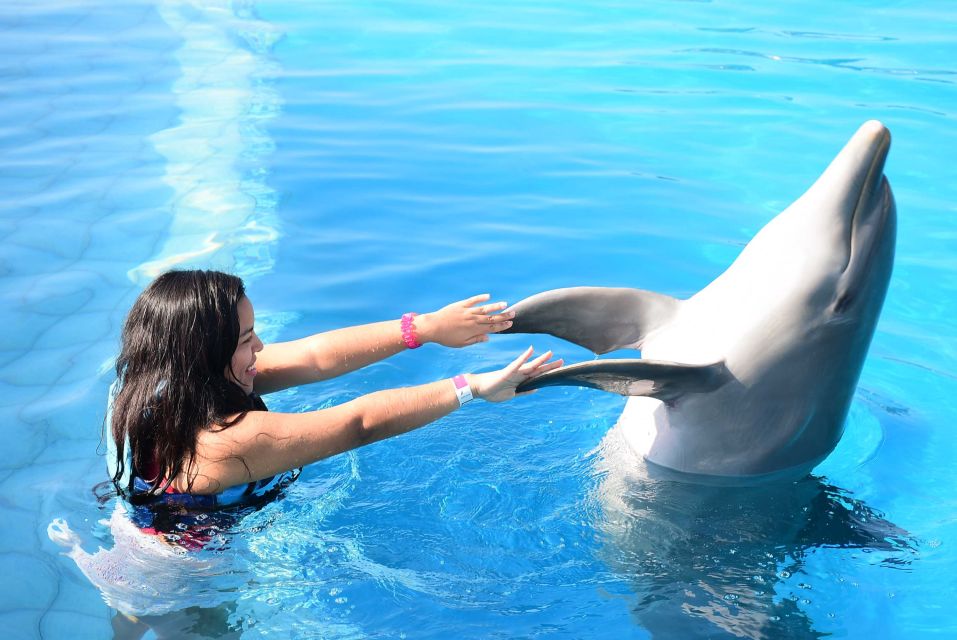 Akumal: Dolphin Encounter - Immersive Experience With Dolphins