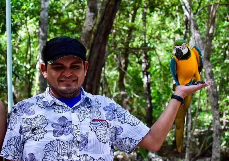 Akumal: Explore the Monkey Sanctuary, ATV Circuit and Cenote - Key Points