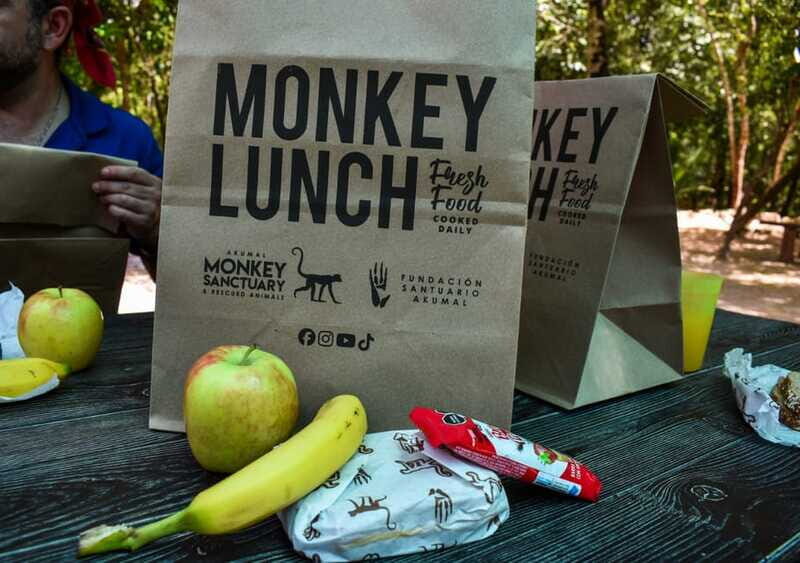 Akumal: Monkey Sanctuary, ATV, Cenote, & Yalku Snorkel Tour - What the Reviews Say