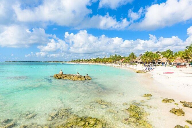 Akumal Reef Snorkel and Turtle Sanctuary From Riviera Maya - Final Thoughts on Suitability