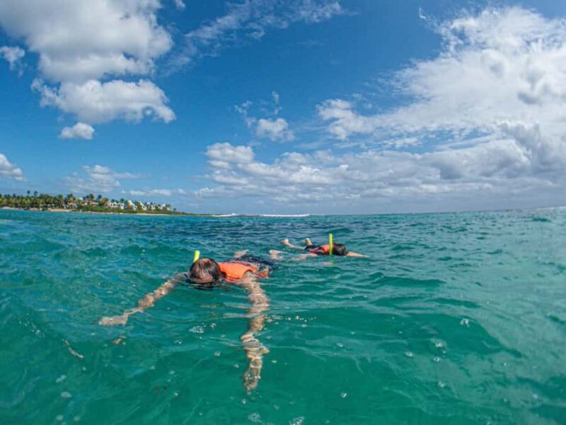 Akumal: Snorkeling and Turtle Watching Tour - The Value of This Tour