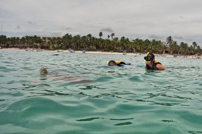 Akumal; Snorkeling with The Sea Turtles - Authenticity and Reviews from Participants