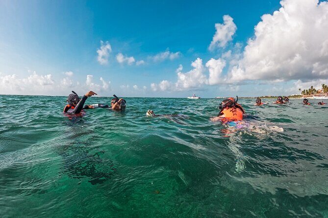 Akumal Snorkeling With Turtles - The Value of a Short, Focused Encounter