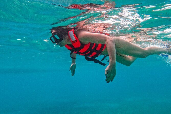 Akumal Snorkeling With Turtles - Practical Tips for Making the Most of Your Tour