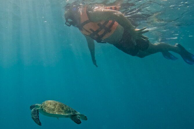 Akumal Snorkeling With Turtles - Who Will Love This Tour?