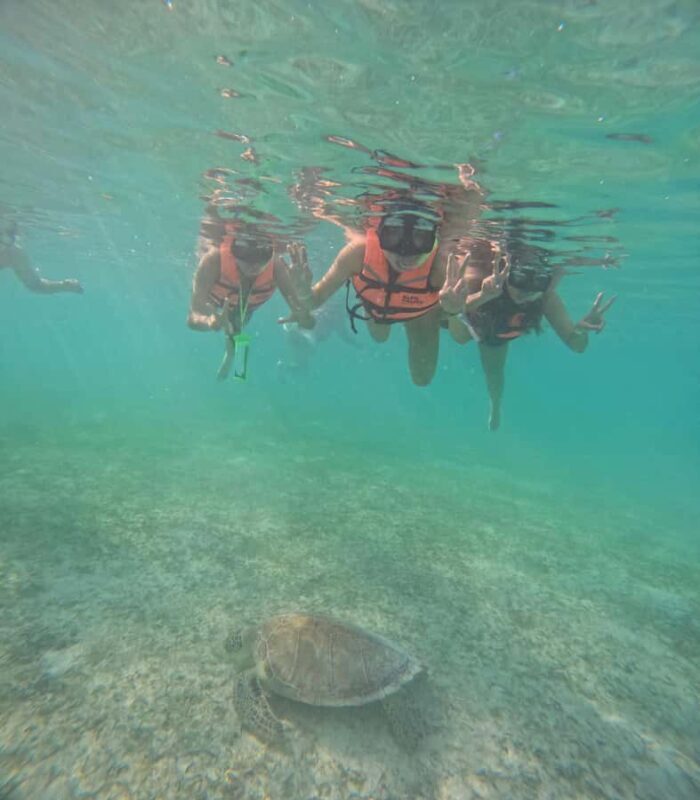 Akumal: Swim in Yalkuito and a cenote water outlet + Snorkel with turtles - Exploring the Tour in Detail: What to Expect