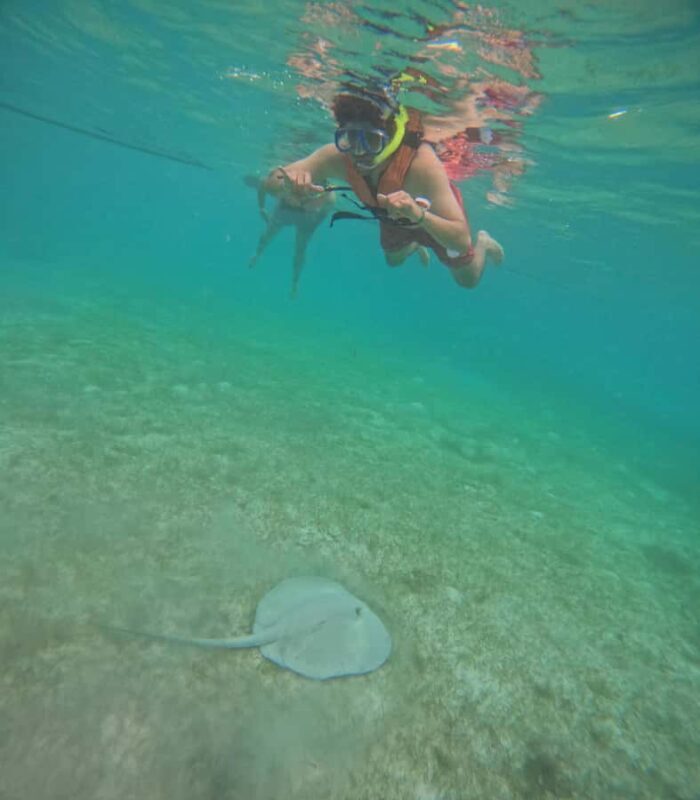 Akumal: Swim in Yalkuito and a cenote water outlet + Snorkel with turtles - Who Will Love This Tour?