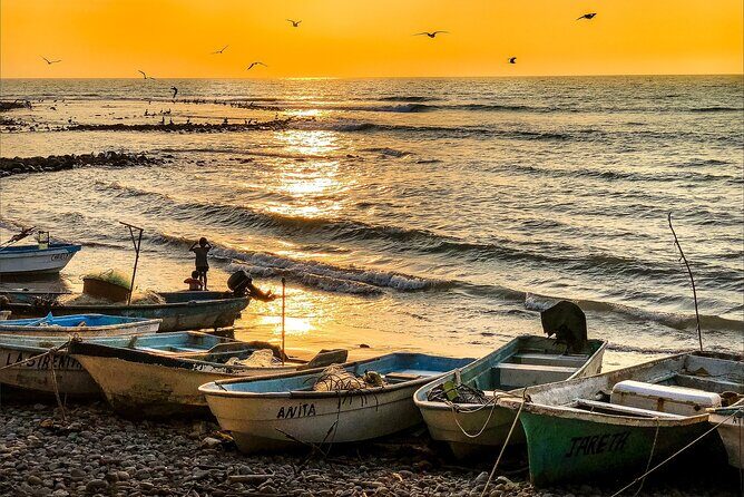 Akumal to Cancun - Private Transfer with Optional Sightseeing - Key Points