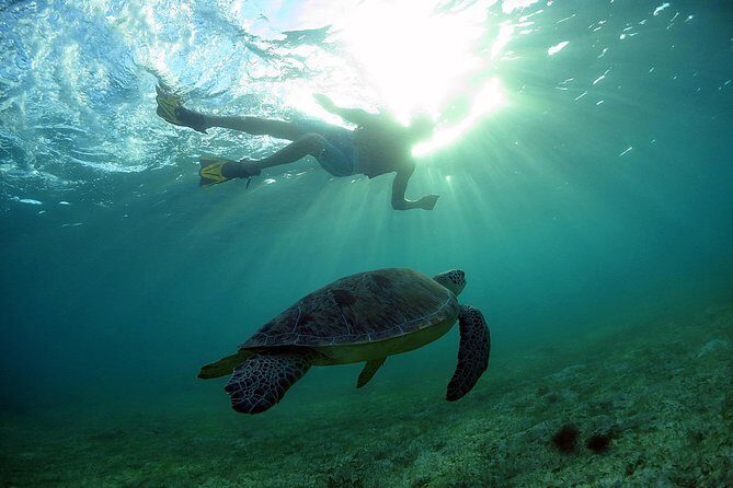 Akumal Turtles, Snorkel Tour from Cancun or Riviera Maya - A Practical Look at the Tour Itinerary