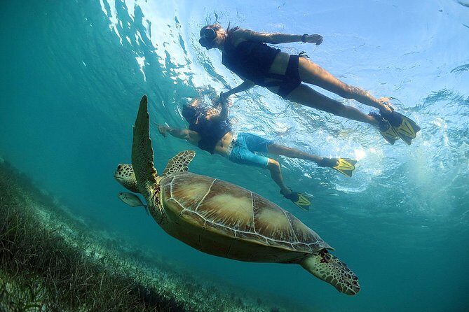 Akumal Turtles, Snorkel Tour from Cancun or Riviera Maya - Transportation and Group Size