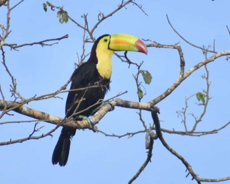 Akumal: Uxuxubi Ecotourism Trip with Kayaking - What Is Uxuxubi and Why Is It Special?