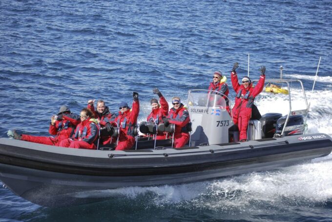 Akureyri: 2–Hour Whale Watching Express by RIB Speedboat - Best Time to Go