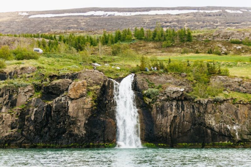 Akureyri: 3-Hour Classic Whale Watching Tour by Ship - Practical Tips for Your Trip