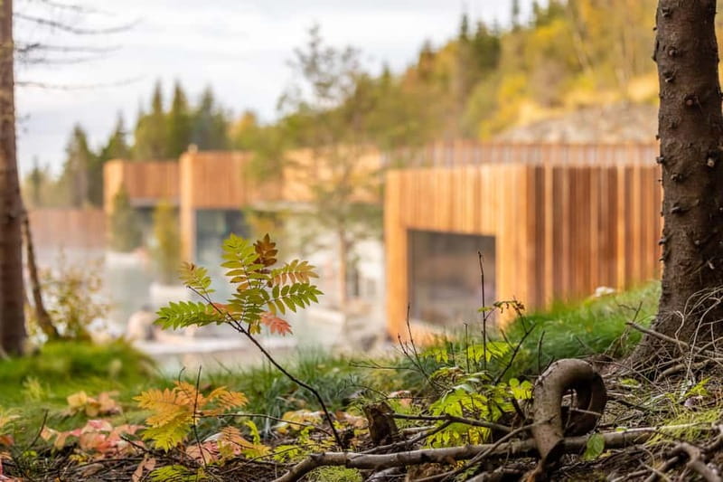 Akureyri: Admission to Forest Lagoon - A Deep Dive into the Forest Lagoon Experience