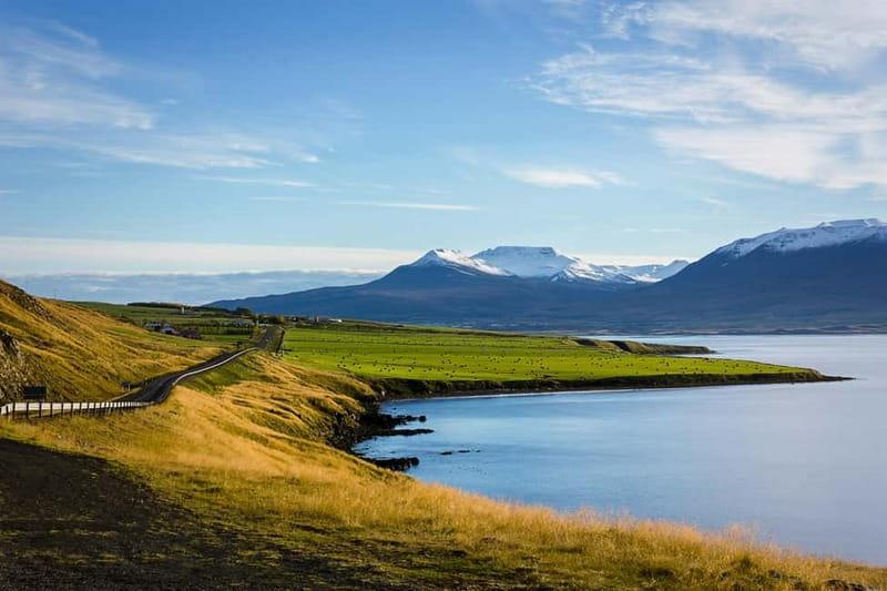 Akureyri: Dettifoss and Goðafoss Waterfalls Tour - Who Will Love This Tour?