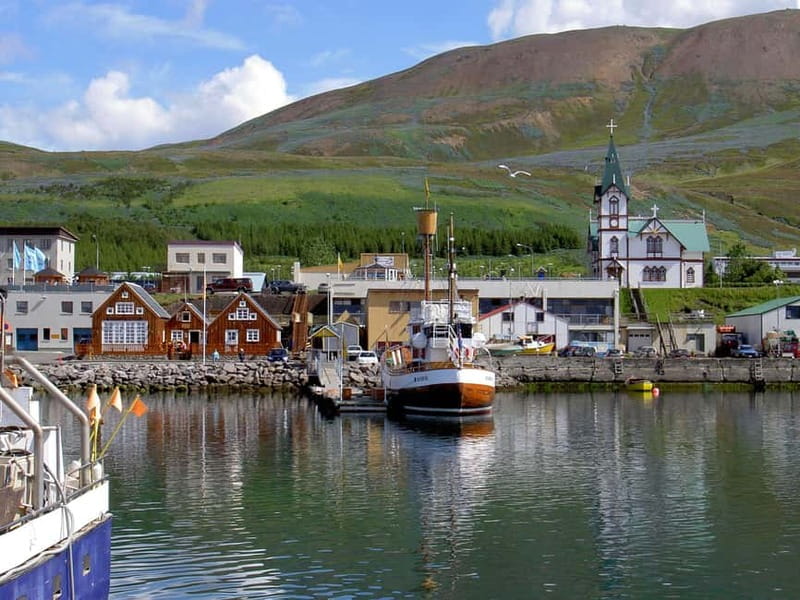 Akureyri: Diamond Circle & Lunch (Dettifoss-Myvatn-Godafoss) - Key Points