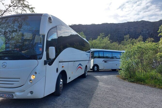 Akureyri Northern Light Tour - An In-Depth Look at the Akureyri Northern Lights Tour