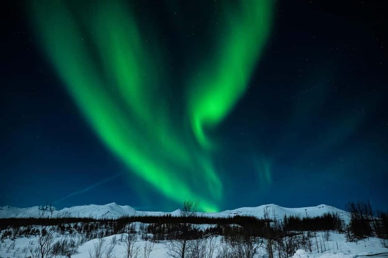 Akureyri: Northern Lights Hunt with Forest Lagoon Entry - FAQ