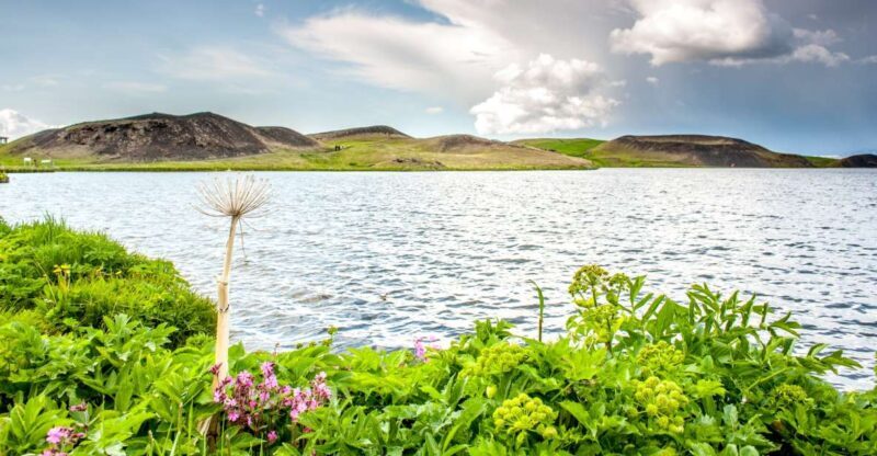 Akureyri Port: Lake Mývatn & Goðafoss Guided Tour with Lunch - Key Points