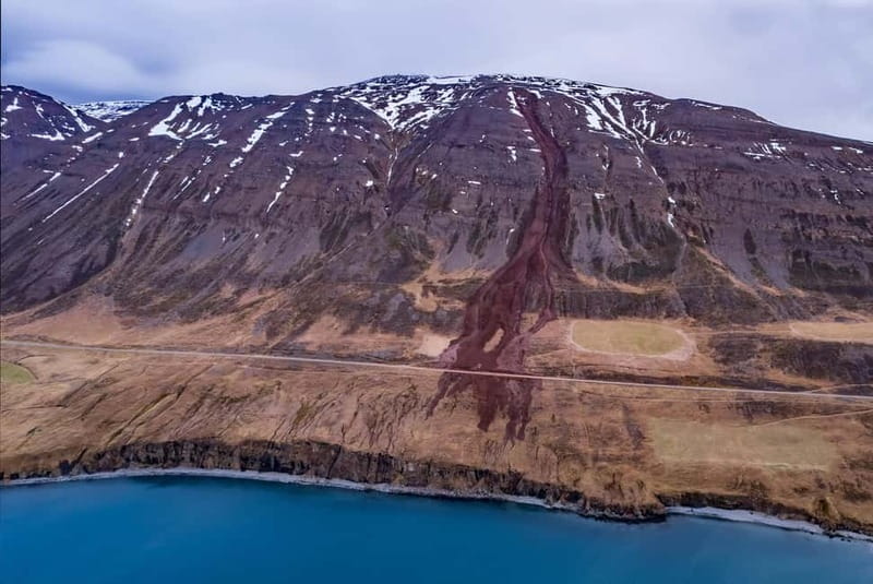 Akureyri: Private Whale Watching and Arctic Coastline Tour - Is it Worth the Investment?