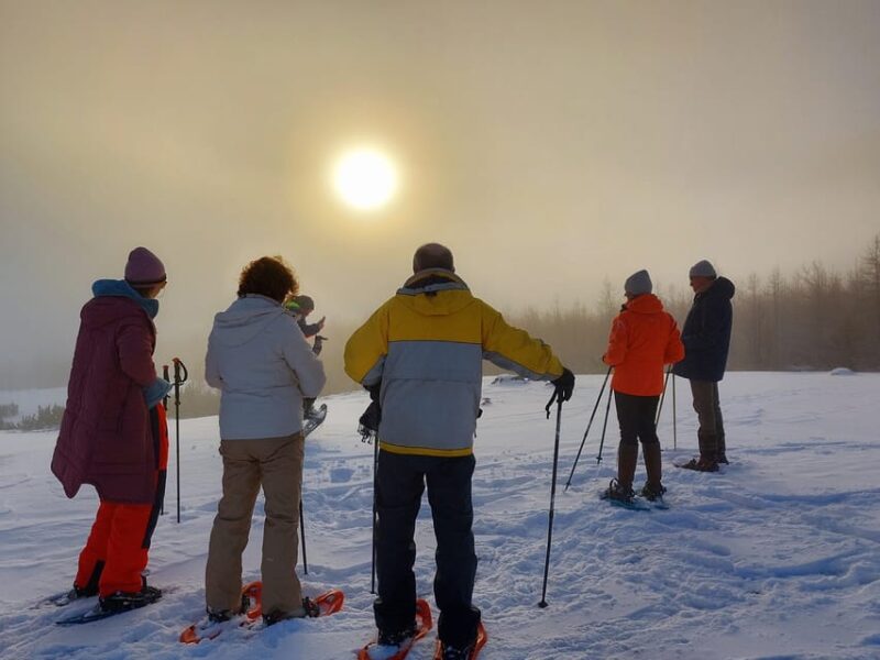 Akureyri: Snowshoeing With the Traveling Viking - Key Points