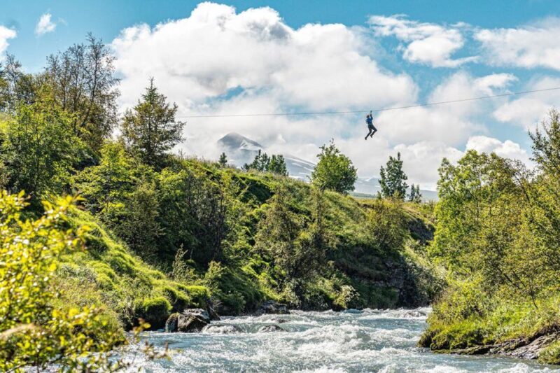 Akureyri: Zipline Tour - Key Points