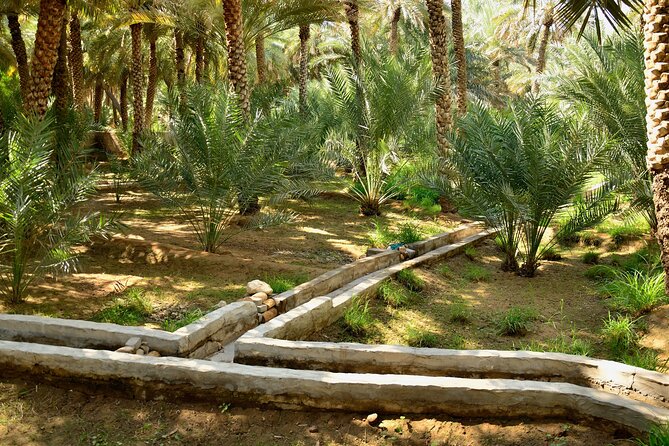 Al Ain City Tour With Natural Oasis, Museum & Zoo Entry Ticket - Travel Tips for Visitors