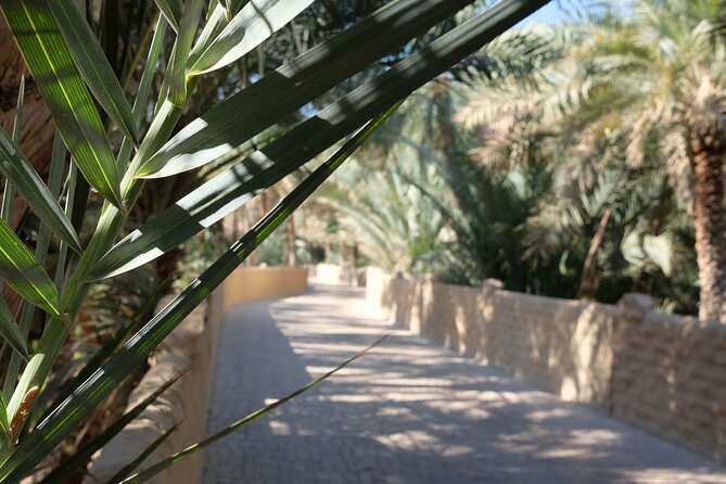 Al Ain City Tour With Natural Oasis, Museum & Zoo Entry Ticket - Accessibility and Participation