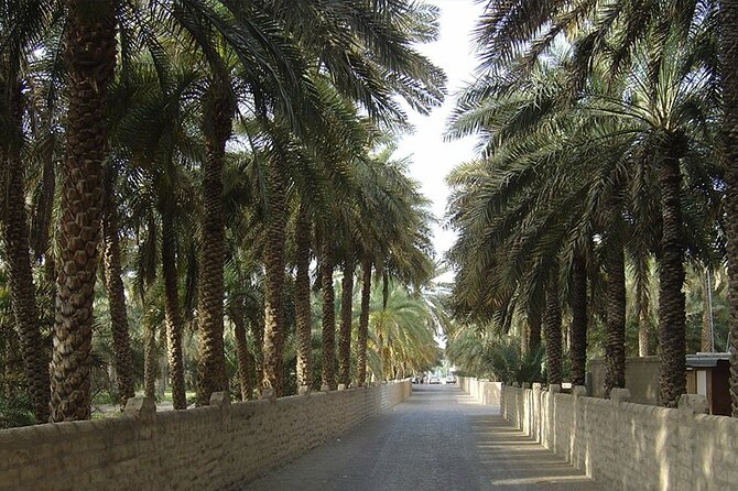 Al Ain Oasis Tour With Pickup and Drop off - Inclusions and Amenities