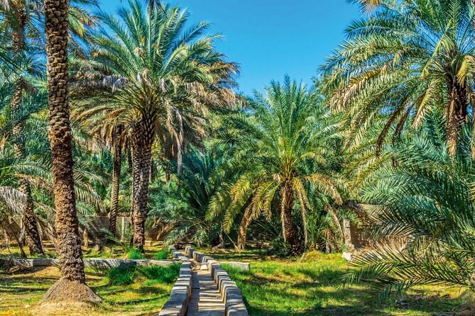 Al Ain Oasis Tour With Pickup and Drop off - Schedule and Availability