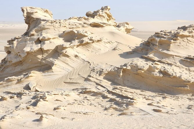 Al Wathba Fossil Dunes and Camel Race Track Trip Abu Dhabi - Camel Racing Experience